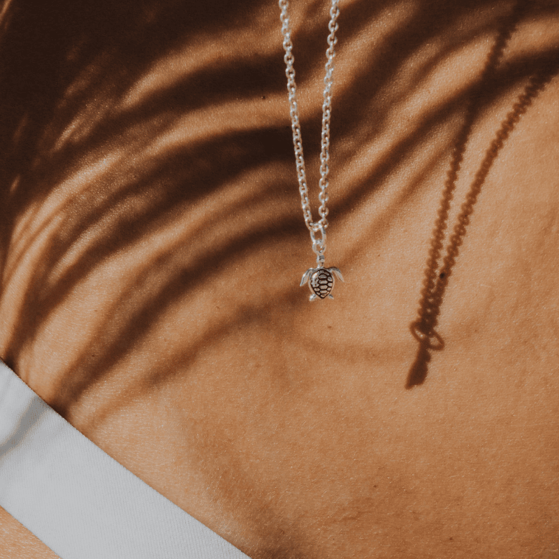 turtle pendant hanging outside