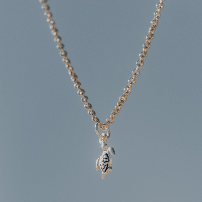 silver turtle pendant hanging