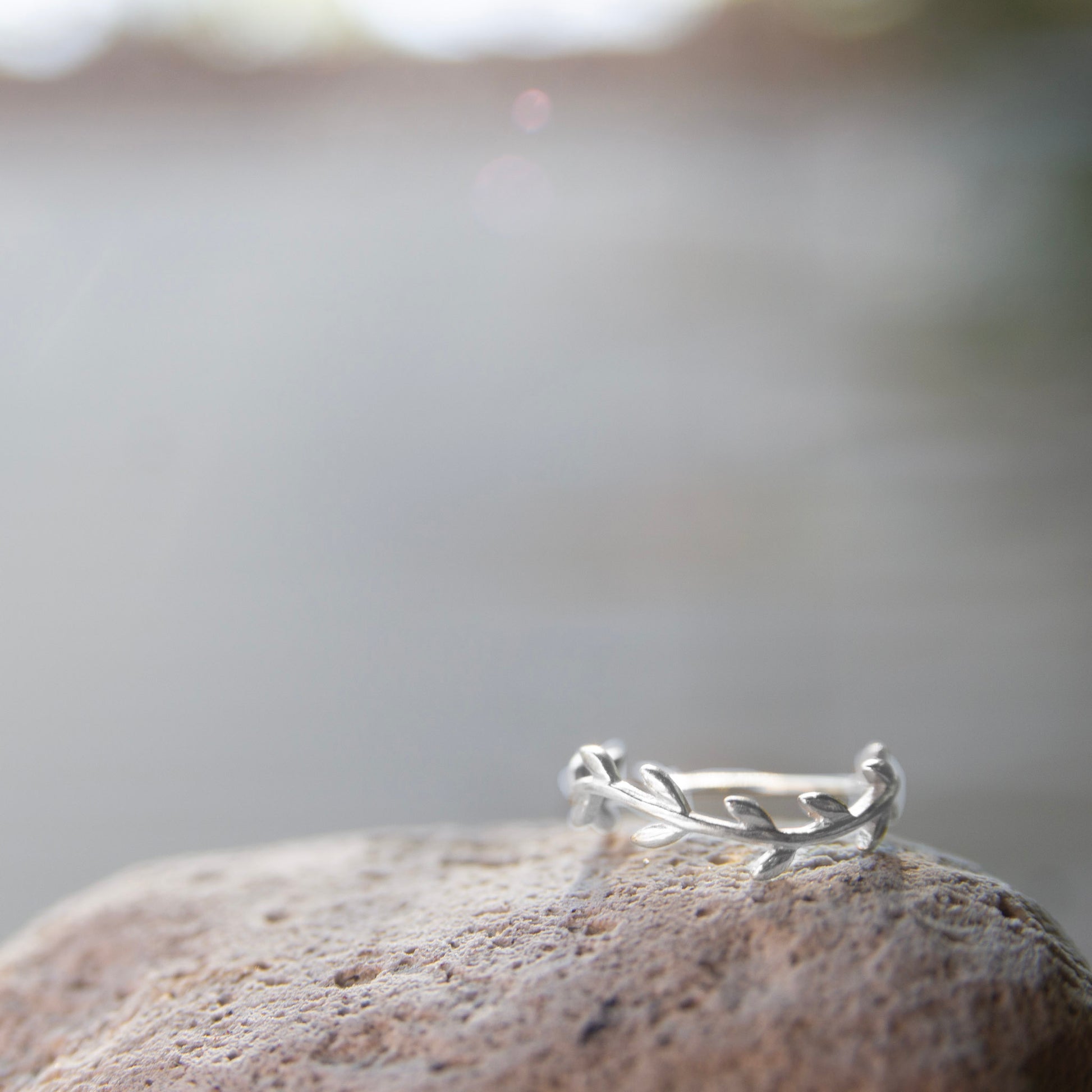 silver wreath ring on a rock