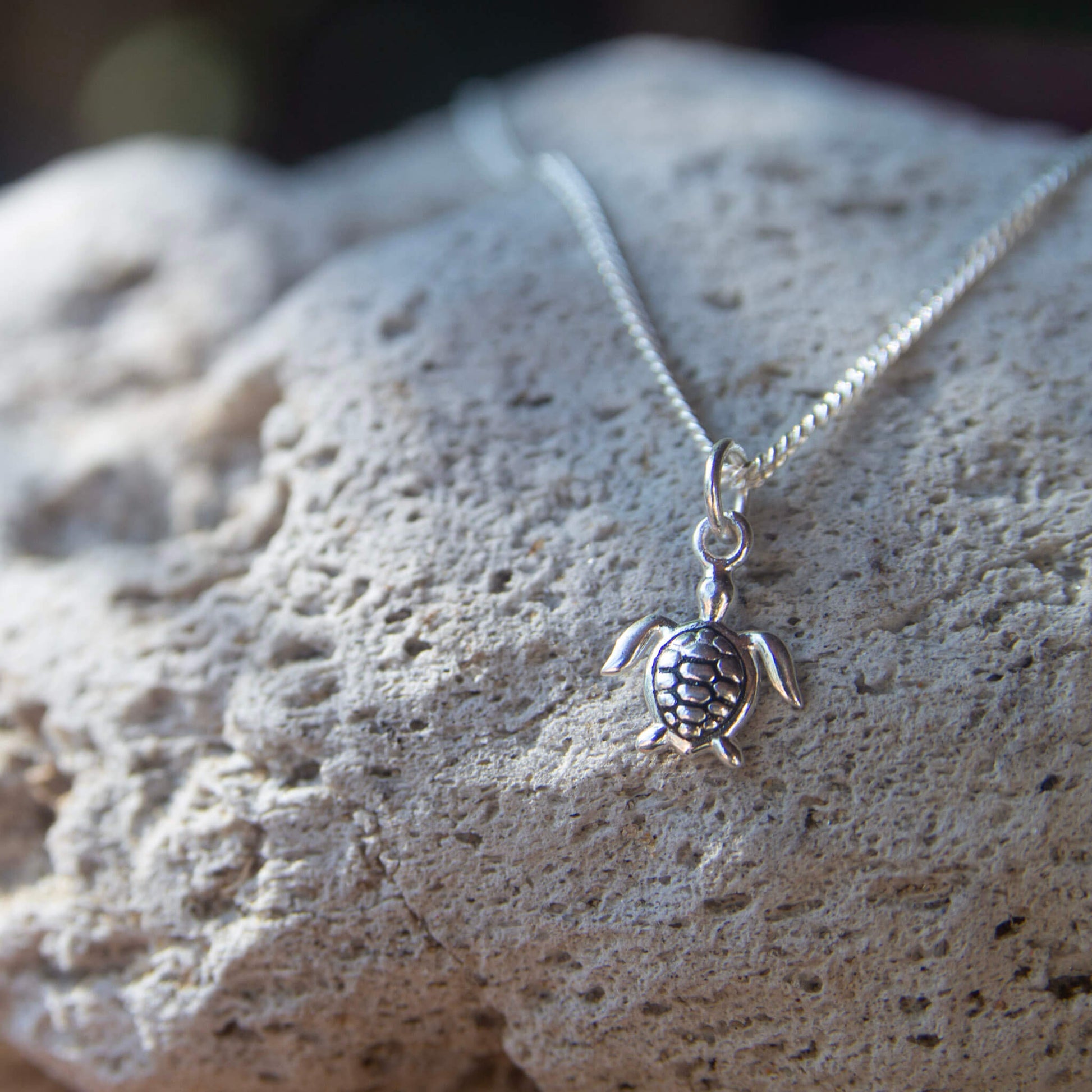 Sterling Silver Turtle Necklace on a rock