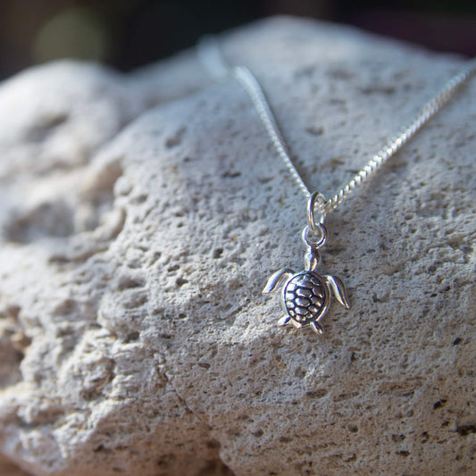 Sterling Silver Turtle Necklace on a rock