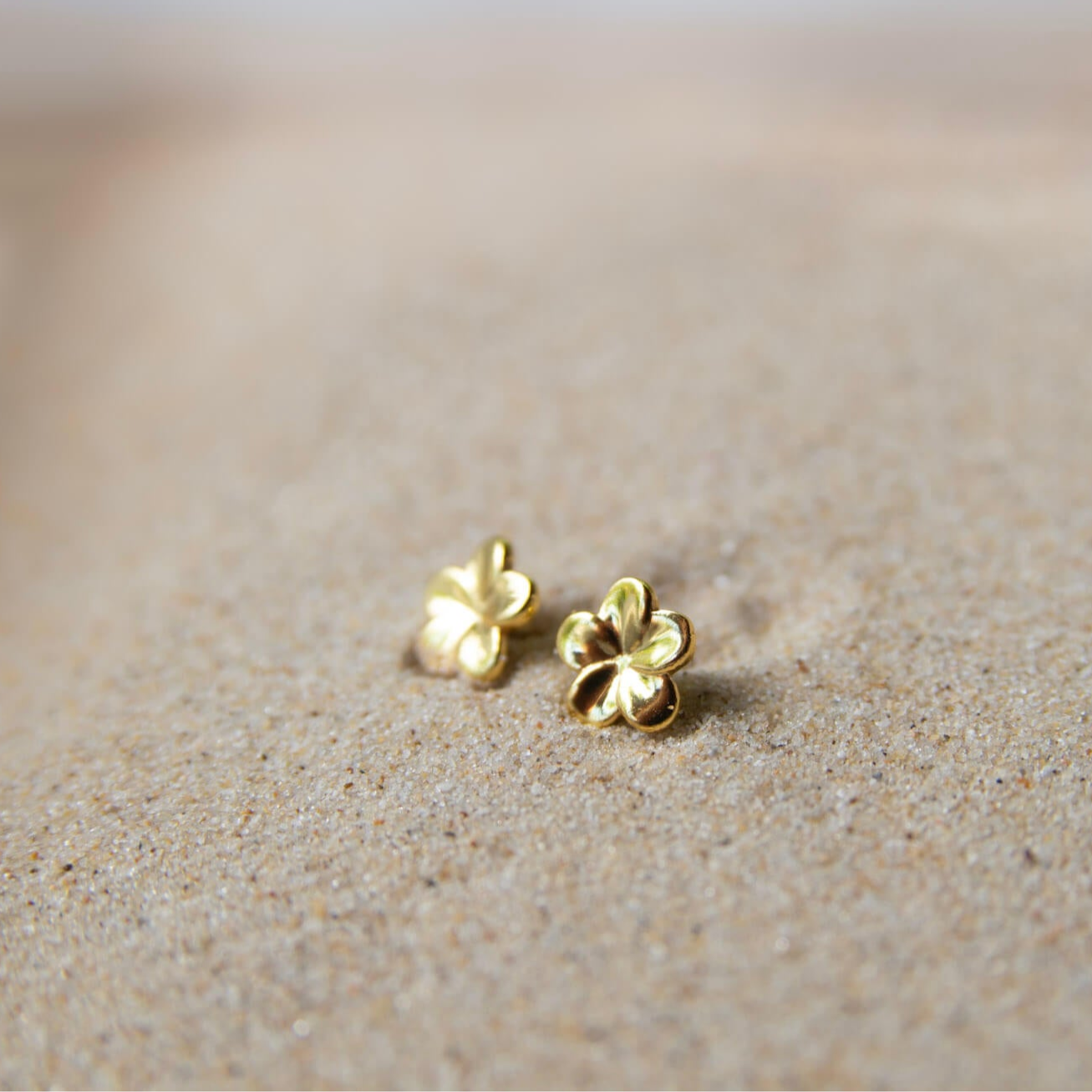 frangipani gold earrings in sand