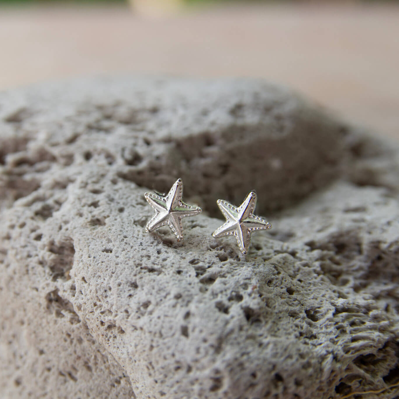silver starfish earrings on a rock