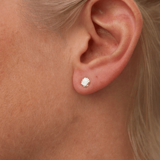 Sterling Silver Shell Stud Earrings