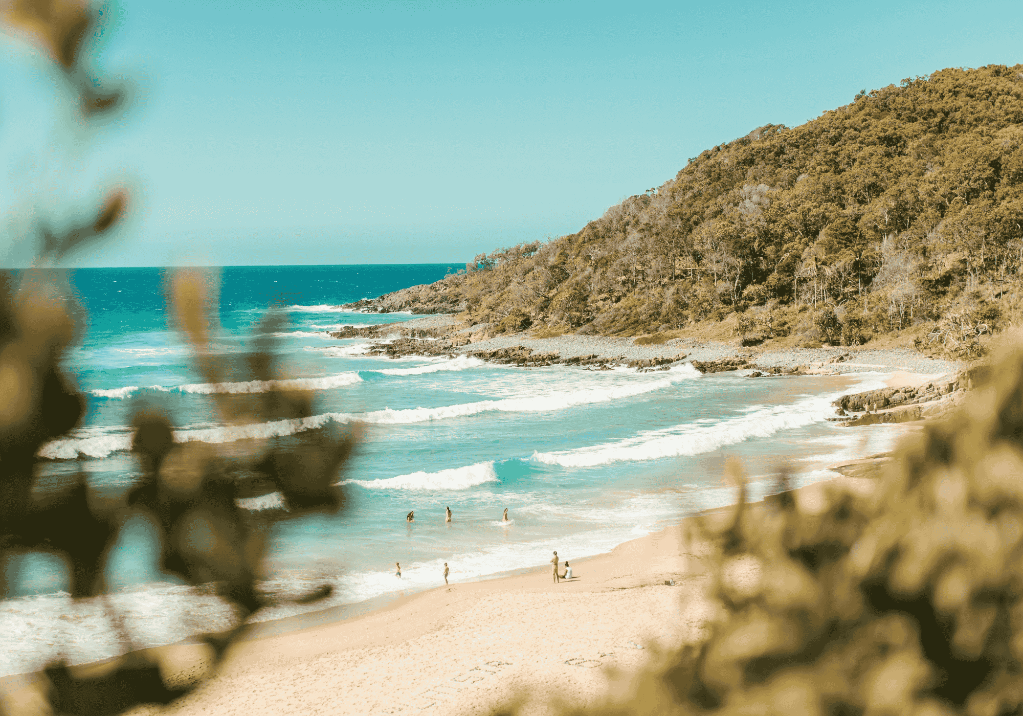 Little cove beach in noosa