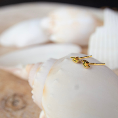 Gold earring on a shell with a blurred background
