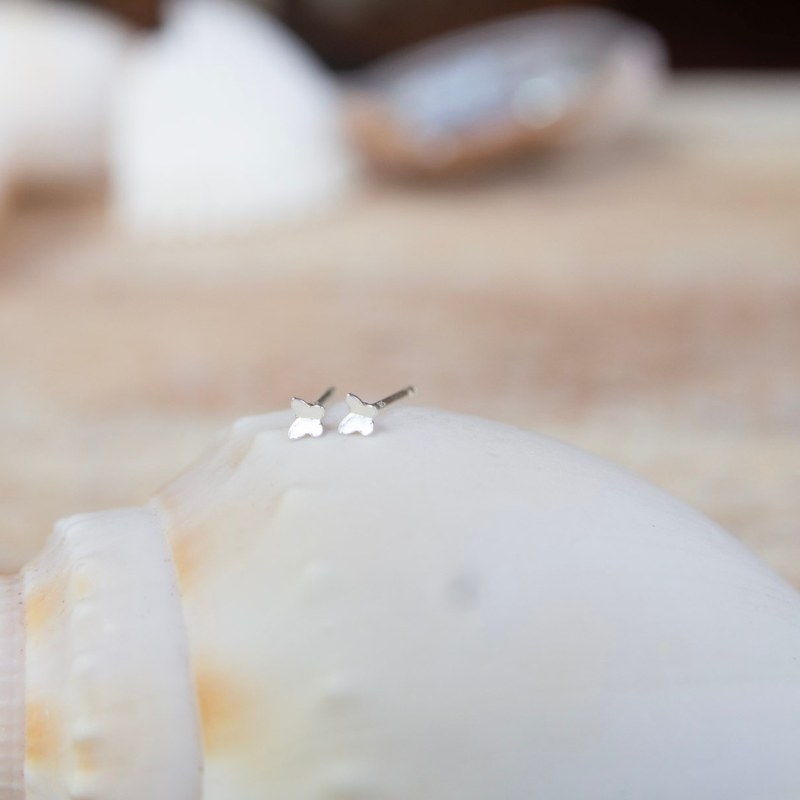 Butterfly-shaped earrings on a shell