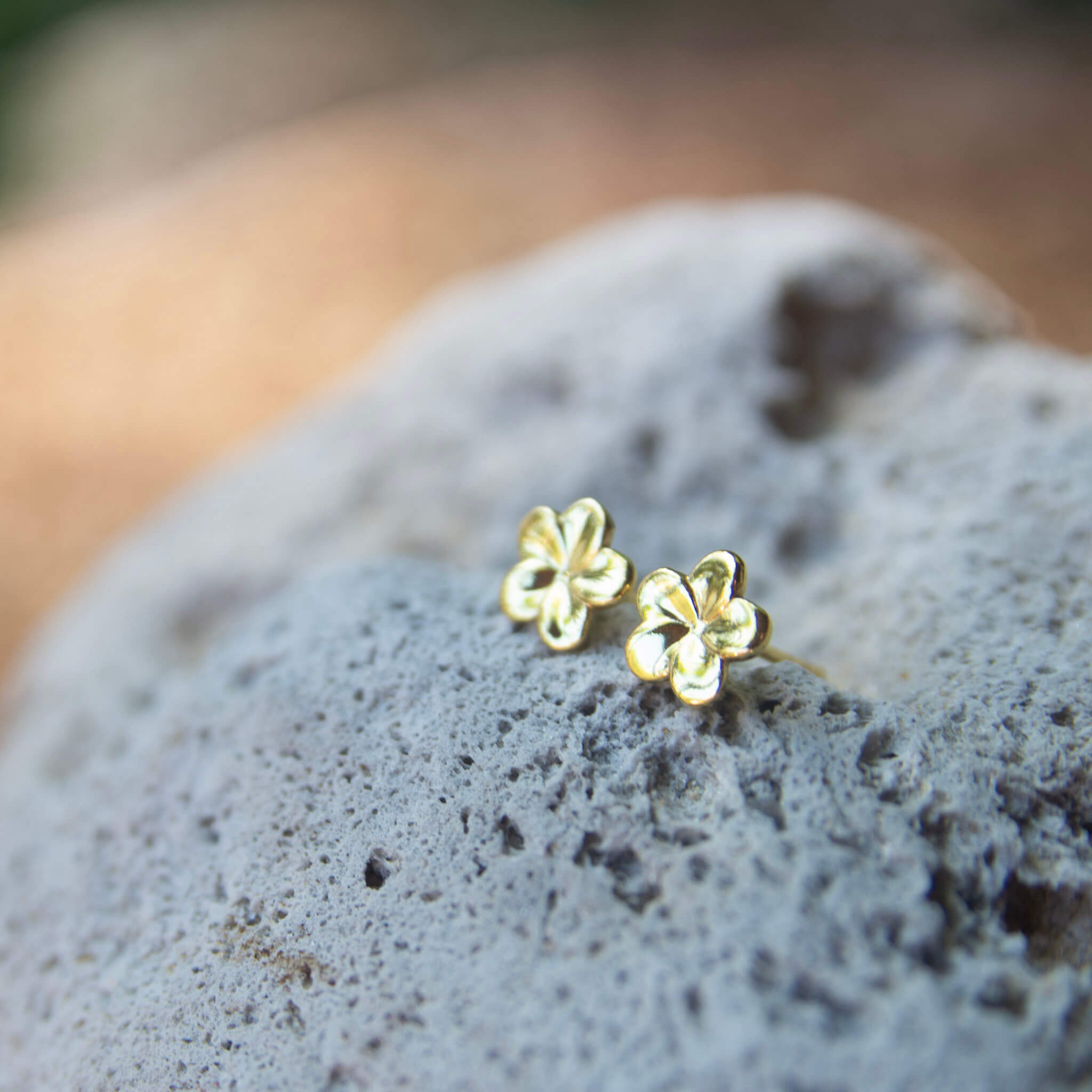 frangipani gold stud earrings close-up