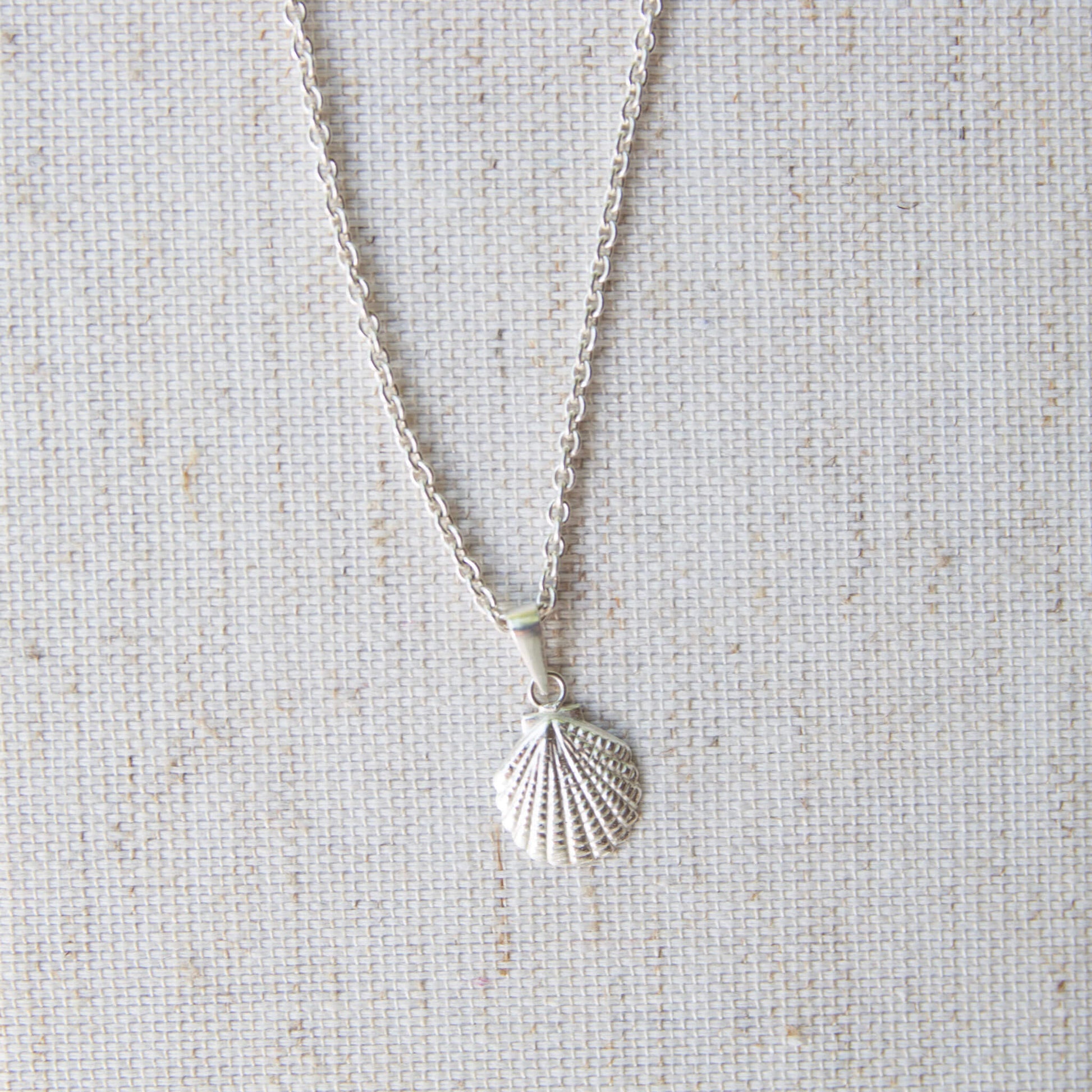 silver shell pendant necklace on grey background