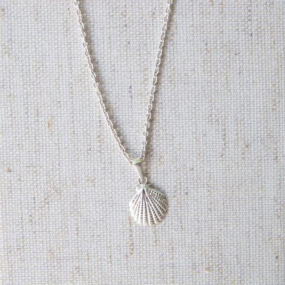 silver shell pendant necklace on grey background